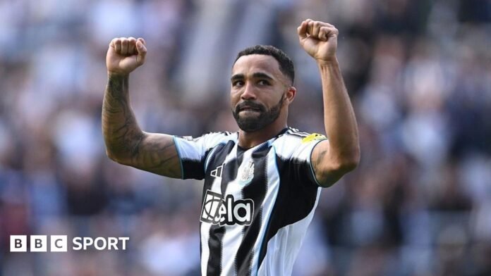 Newcastle United: Callum Wilson and John Ruddy in talks over new contracts