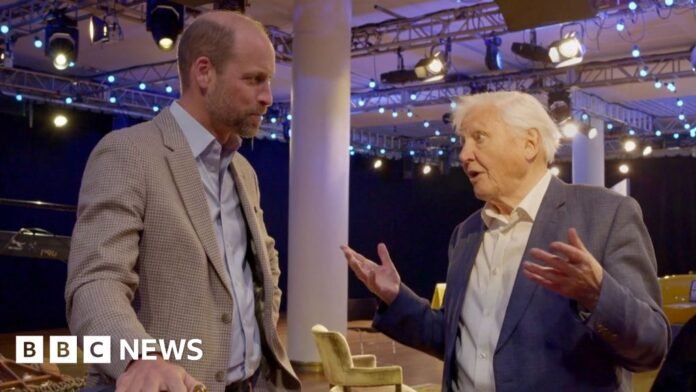 Ocean damage 'unspeakably awful', Attenborough tells William