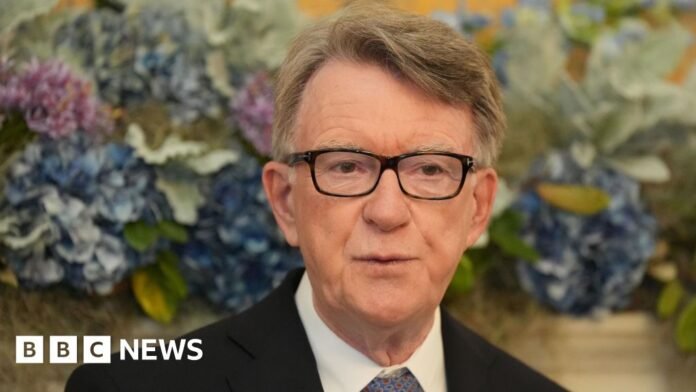 Epstein paid for Mandelson's travel in 2003, documents show Epstein paid for Mandelson's travel in 2003, documents show