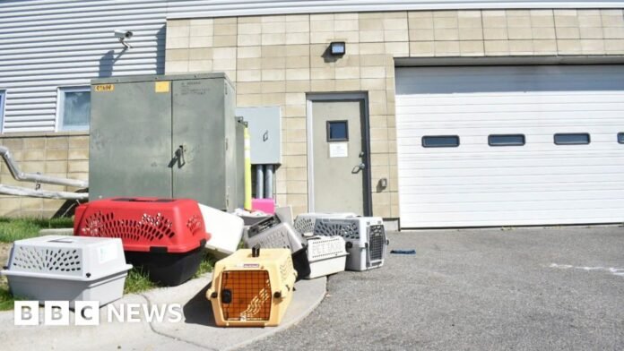 Animal shelter evacuated after FBI incinerates meth at facility Animal shelter evacuated after FBI incinerates meth at facility